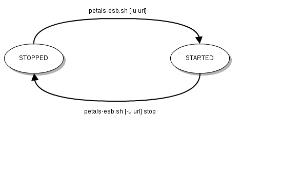 A&#32;Gliffy&#32;Diagram&#32;named&#58;&#32;Petals&#32;ESB&#32;lifecyle